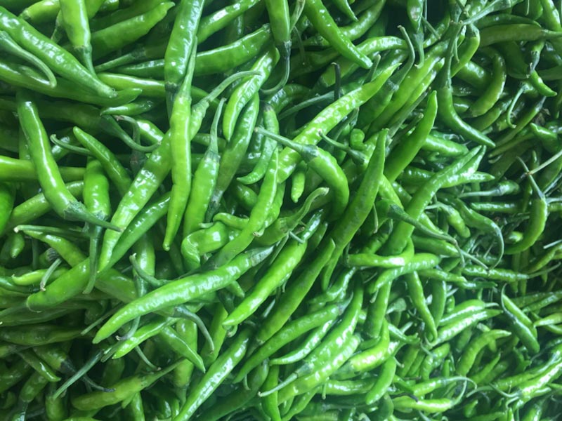 FRESH GREEN CHILLY EXPORTER